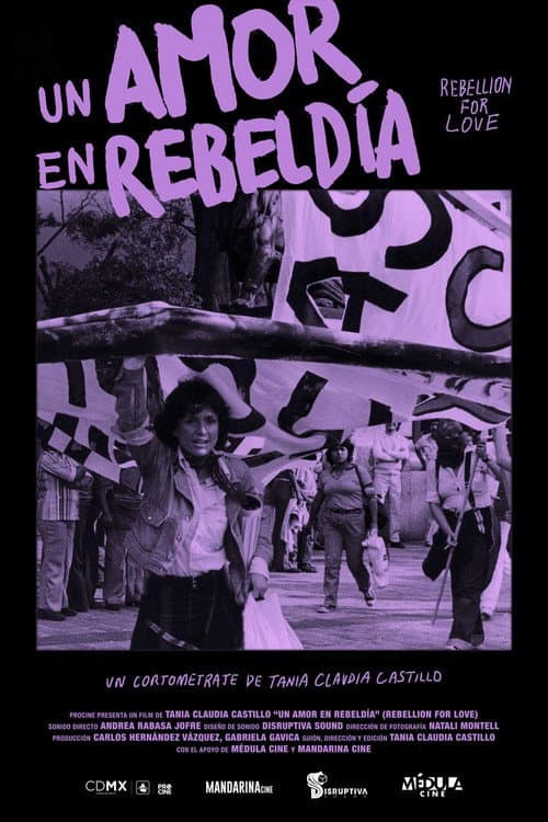 Un Amor en Rebeldía (2019) poster