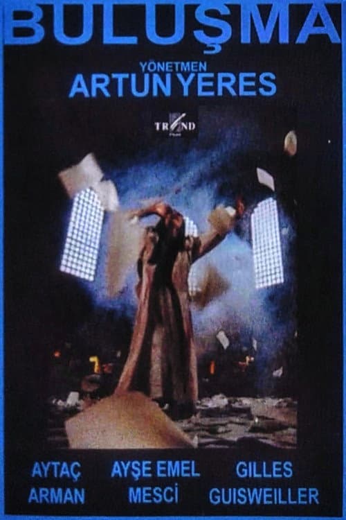 Buluşma (1994) poster