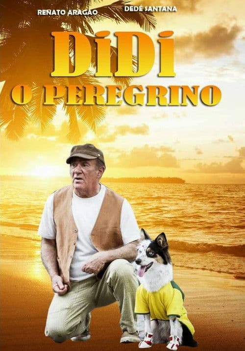 Didi, o Peregrino (2013) poster