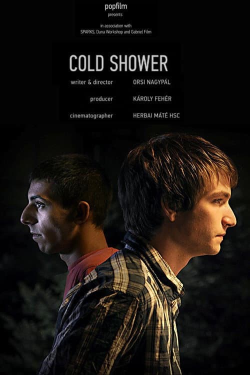 Hidegzuhany (2010) poster