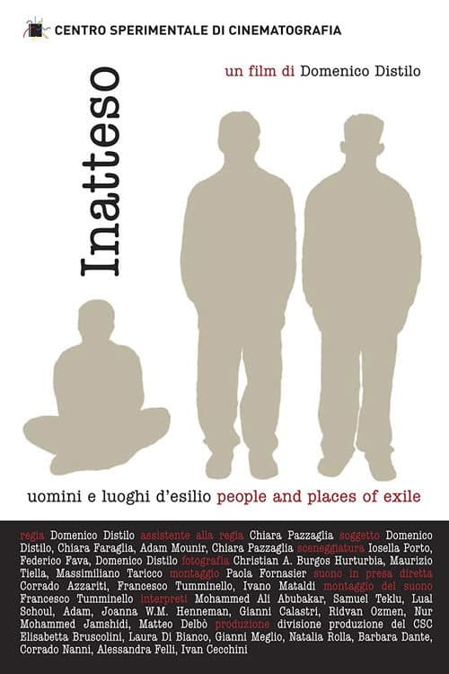 Inatteso (2005) poster