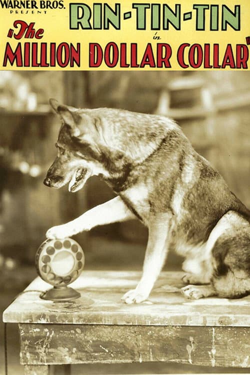 The Million Dollar Collar (1929) poster
