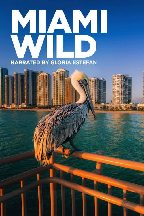 Miami Wild (2022) poster