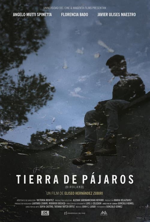 Tierra de Pájaros (2017) poster