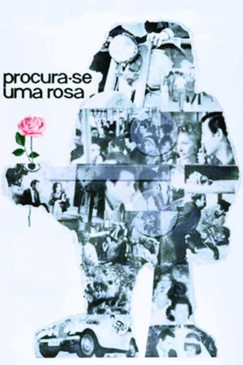 Procura-se Uma Rosa (1964) poster