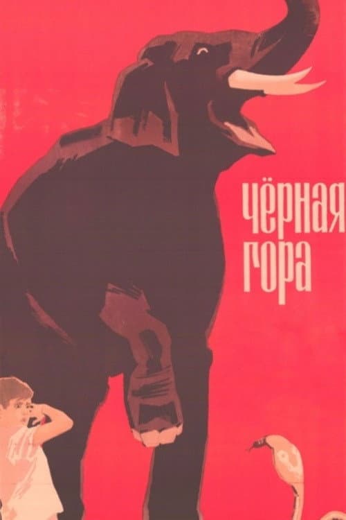 Черная гора (1971) poster