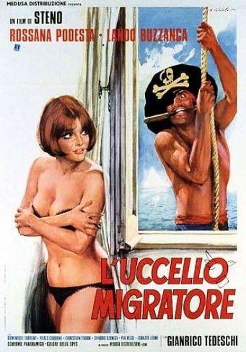 L'uccello migratore (1972) poster