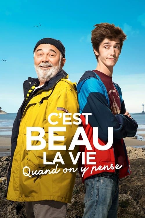 C'est beau la vie quand on y pense (2017) poster