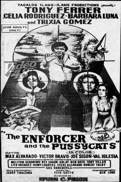 The Enforcer and the Pussycats (1977) poster