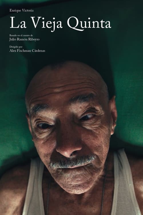 New Neighbors, Old Fights (2015) poster