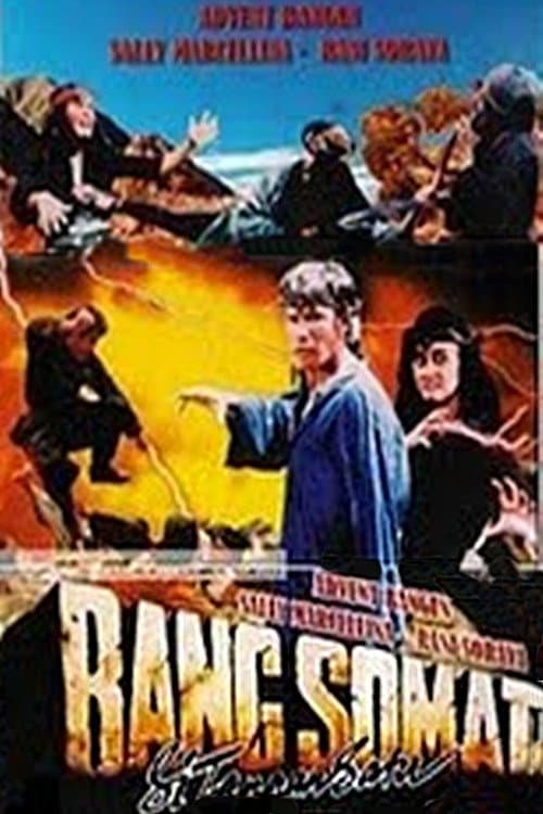 Bang Somad Si Tangan Satu (1991) poster
