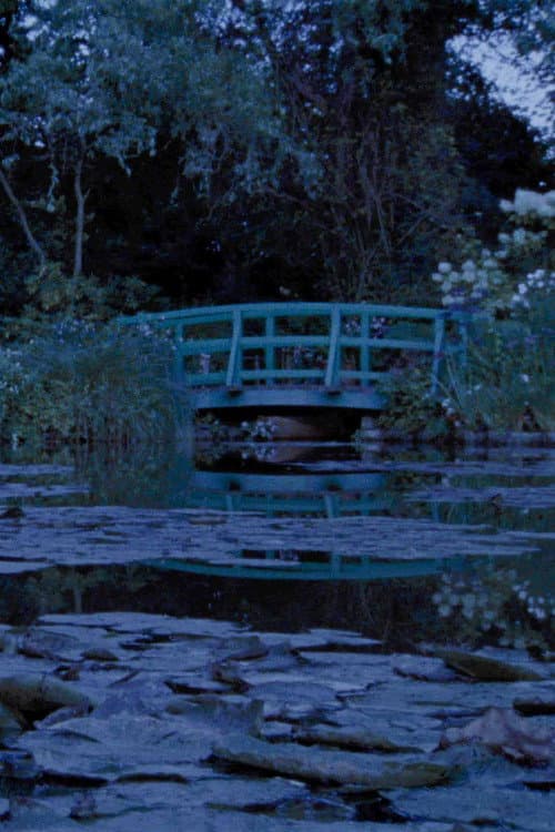 Meadow Report (2021) poster