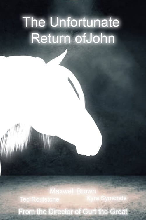 The Unfortunate Return of John (2025) poster