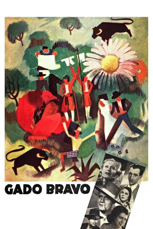Gado Bravo (1934) poster