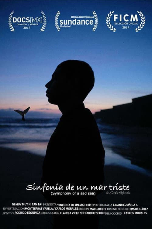 Sinfonía de un mar triste (2018) poster