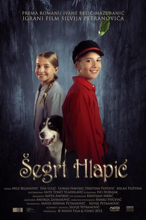 Šegrt Hlapić (2013) poster