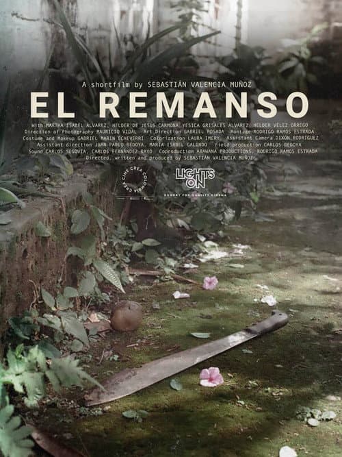 El Remanso (2020) poster