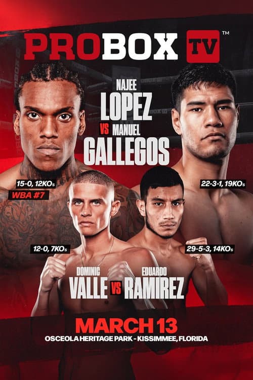 Najee Lopez vs. Manuel Gallegos (2026) poster