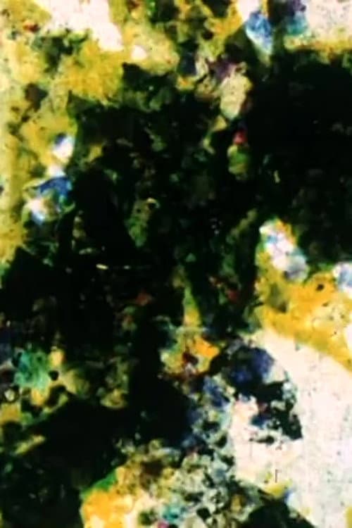 Enfouissement – fossile (Effacement – disparition) (2004) poster