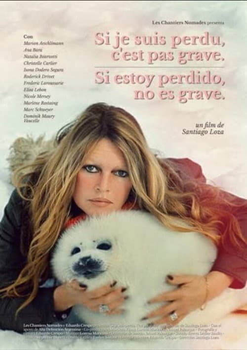 Si estoy perdido, no es grave (2014) poster