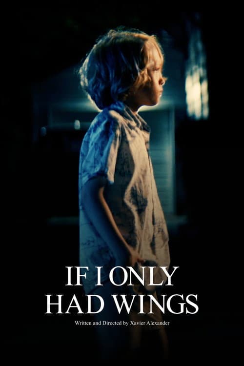 If I Only Had Wings (2026) poster
