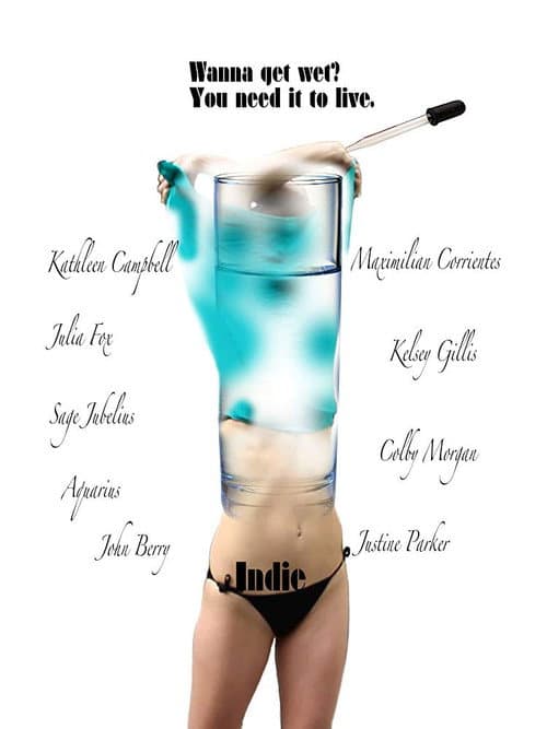 Indie (2014) poster