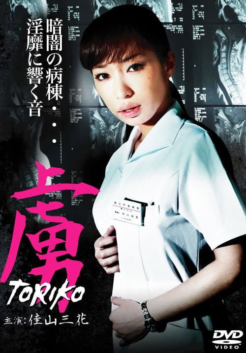 虜 TORIKO (2010) poster