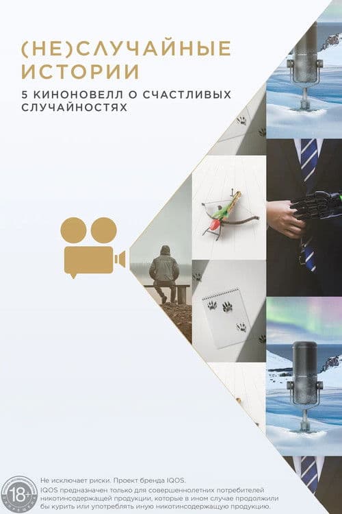 (Не)случайные истории (2020) poster