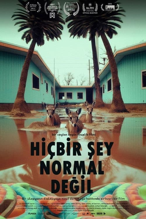 Hiçbir Şey Normal Değil (2024) poster