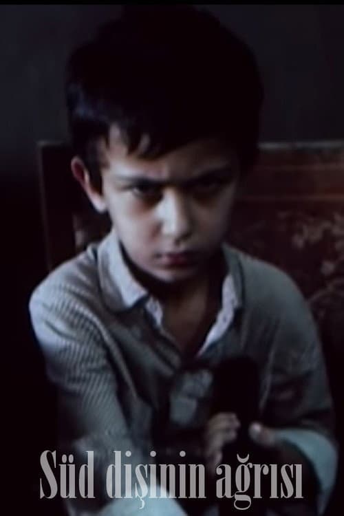 Süd Dişinin Ağrısı (1987) poster