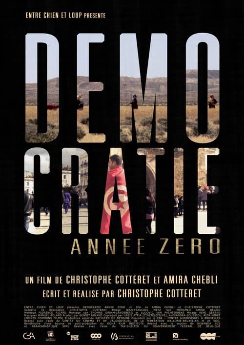 Démocratie Année Zéro (2014) poster