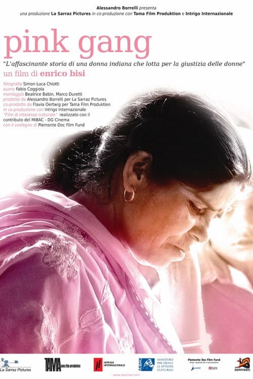 Pink Gang (2010) poster