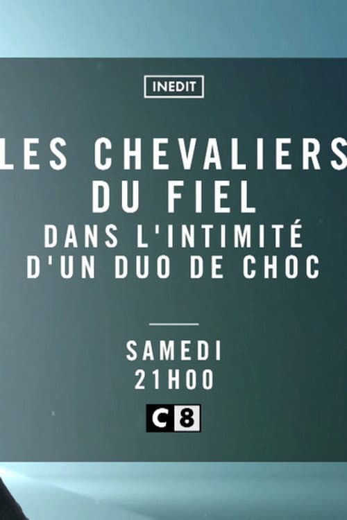Les Chevaliers du Fiel - Dans l'intimité d'un duo de choc (2018) poster