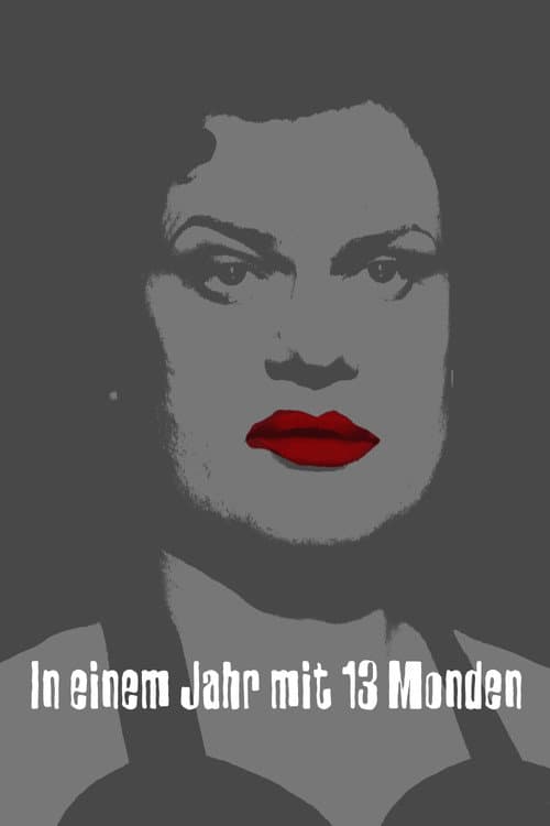 In einem Jahr mit 13 Monden (1978) poster