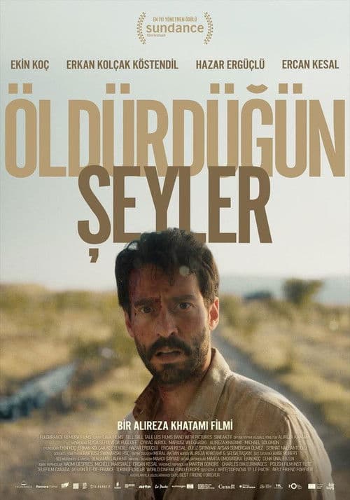 Öldürdüğün Şeyler (2025) poster