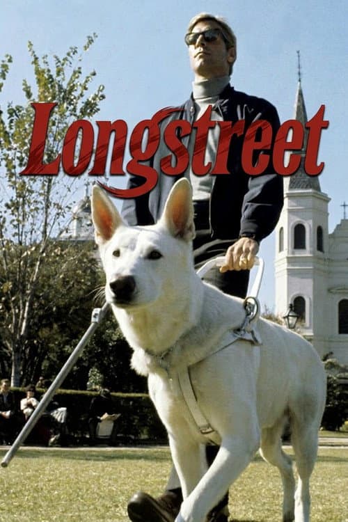 Longstreet (1971) poster