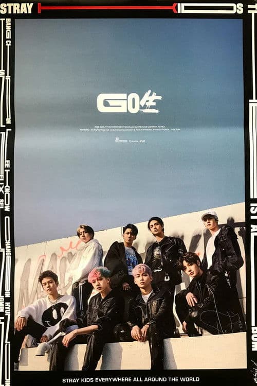 Stray Kids <ONLINE UNVEIL GO生> (2020) poster