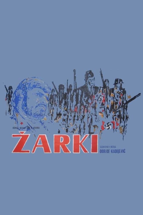 Žarki (1970) poster