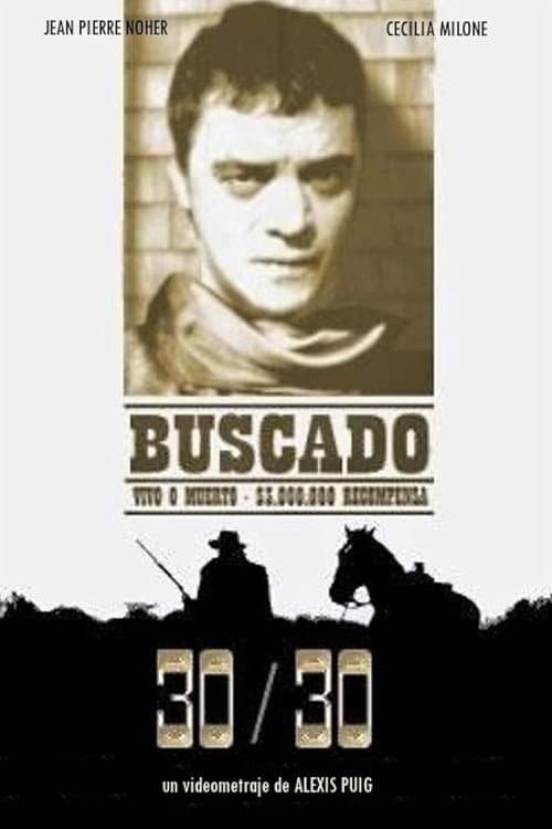 30/30 (2001) poster