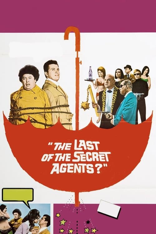 The Last of the Secret Agents? (1966) poster