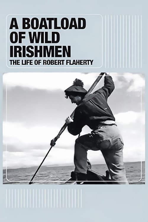 A Boatload of Wild Irishmen (2010) poster