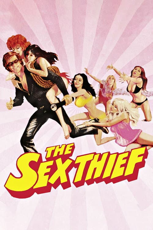 The Sex Thief (1973) poster