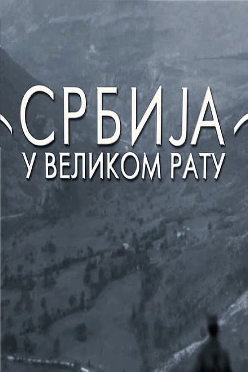 Srbija u Velikom ratu (2014) poster