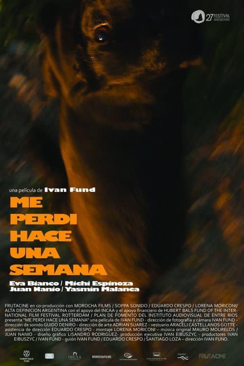 Me perdí hace una semana (2012) poster