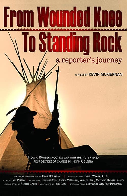 From Wounded Knee to Standing Rock: A Reporter's Journey (2019) poster