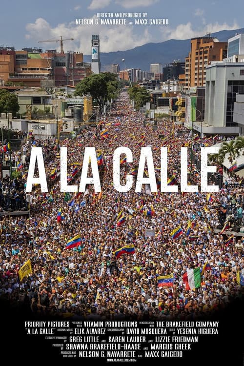 A La Calle (2020) poster
