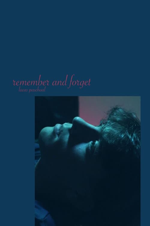 remember and forget (2024) poster