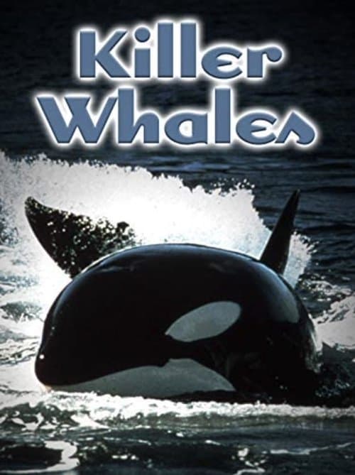Killer Whales: Up Close and Personal (2000) poster