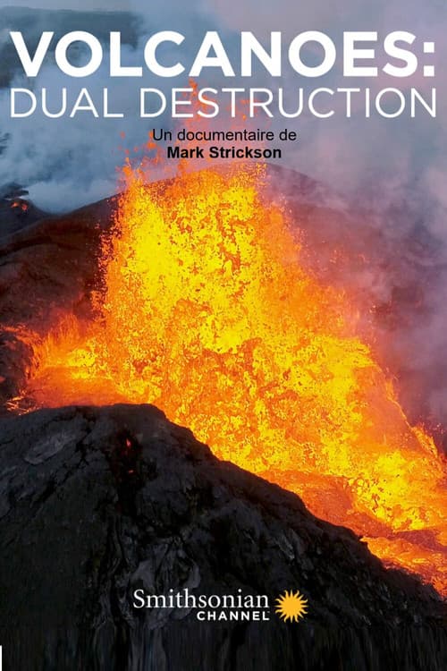 Volcanoes: dual destruction (2018) poster