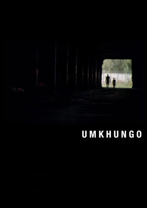 Umkhungo (2010) poster